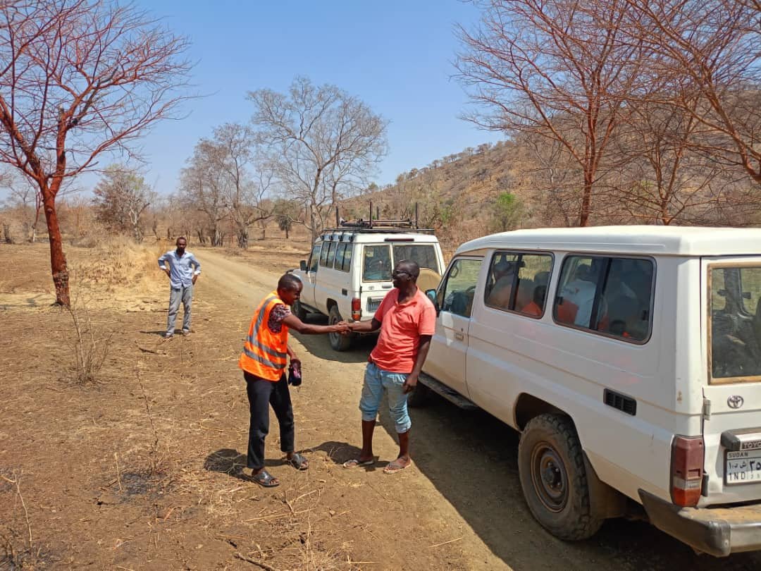 Activity from consultancy